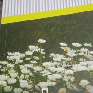 İYİLER ÖLMEZ/Mustafa Kutlu