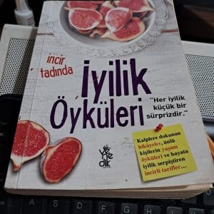 İncir Tadında İYİLİK ÖYKÜLERİ/KOLEKTİF