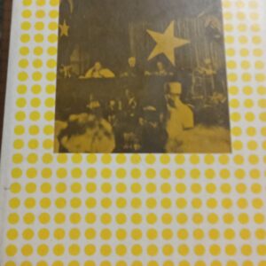 MİLLİ MÜCADELEDE İTTİHATÇILIK/Erik JAN ZÜRCHER
