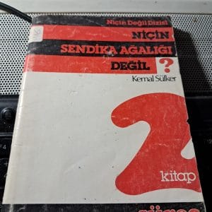 NİÇİN SENDİKA AĞALIĞI DEĞİL?/Kemal SÜLKER
