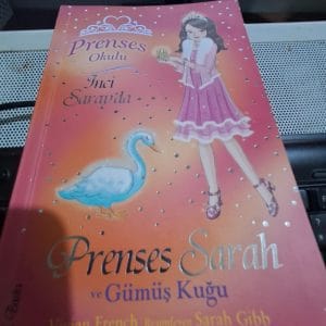 Prenses Okulu İNCİ SARAYDA/Vivian FRENCH