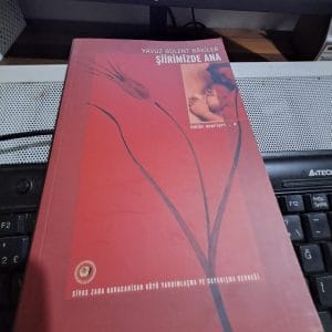 ŞİİRİMİZDE ANA/Yavuz Bülent BAKİLER