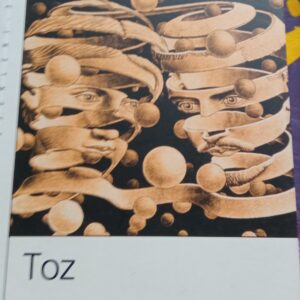 Toz/Rasim Özdenören