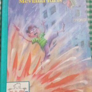 ÜTÜSÜZ AYAKKABILAR/Mevlâna İDRİS