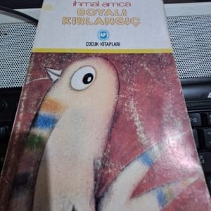 BOYALI KIRLANGIÇ/İhmal AMCA