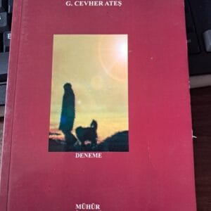 DELİLİĞE SAVRULUŞ-G. Gevher ATEŞ