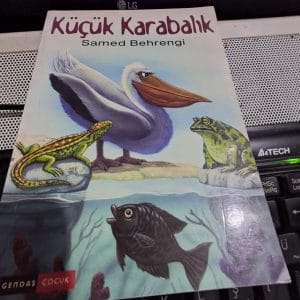 KÜÇÜK KARA BALIK/Samed BEHRENGİ