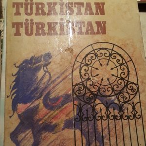 TÜRKİSTAN TÜRKİSTAN/Yavuz Bülent BAKİLER